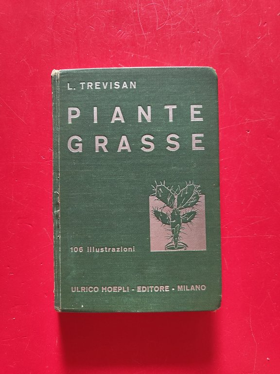 Piante grasse