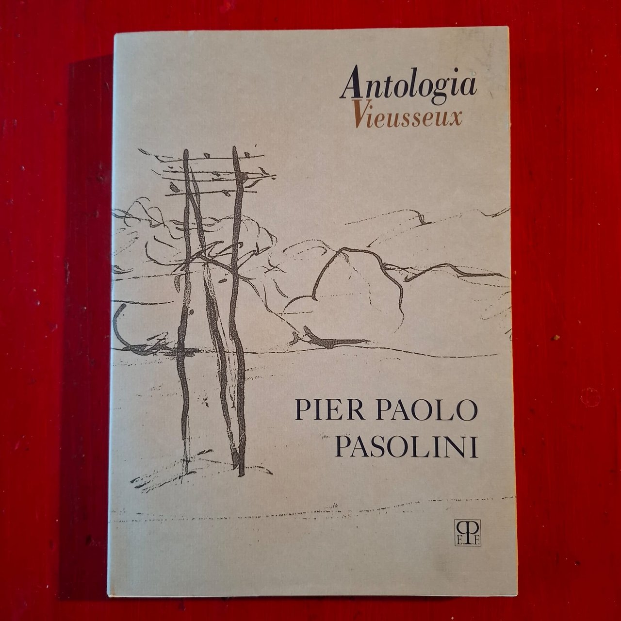 Pier Paolo Pasolini | Immagine principale