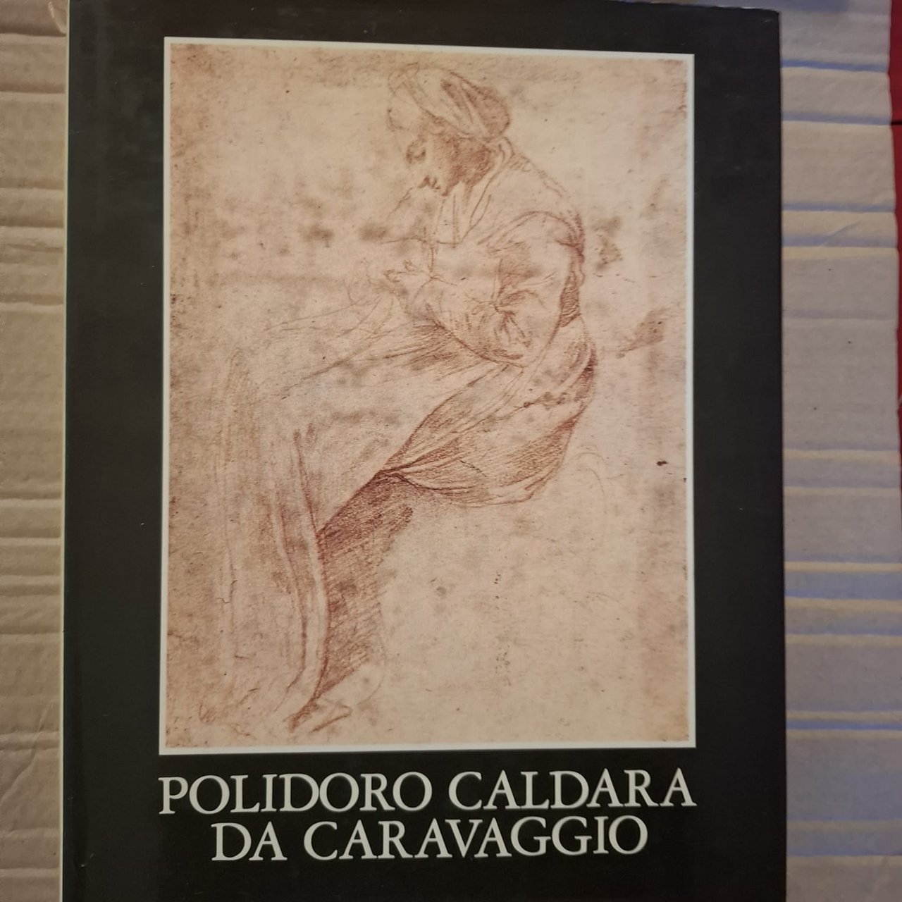 Polidoro Caldara da Caravaggio | Immagine principale