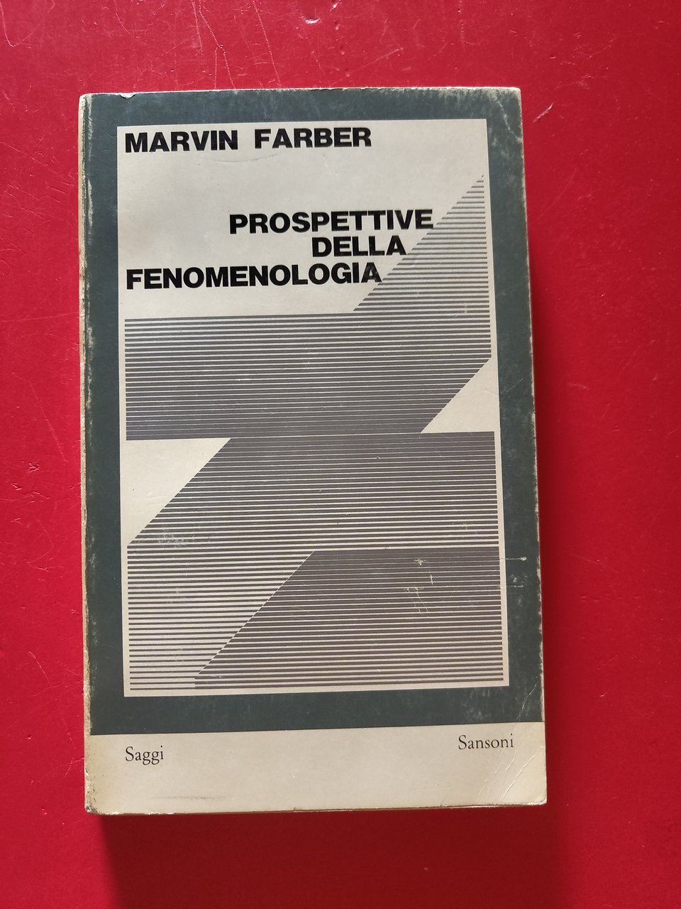 Prospettive della fenomenologia