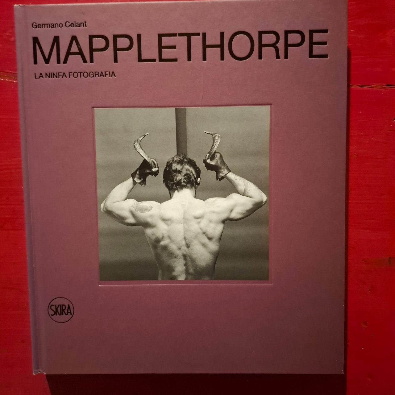 Robert Mapplethorpe | Immagine principale