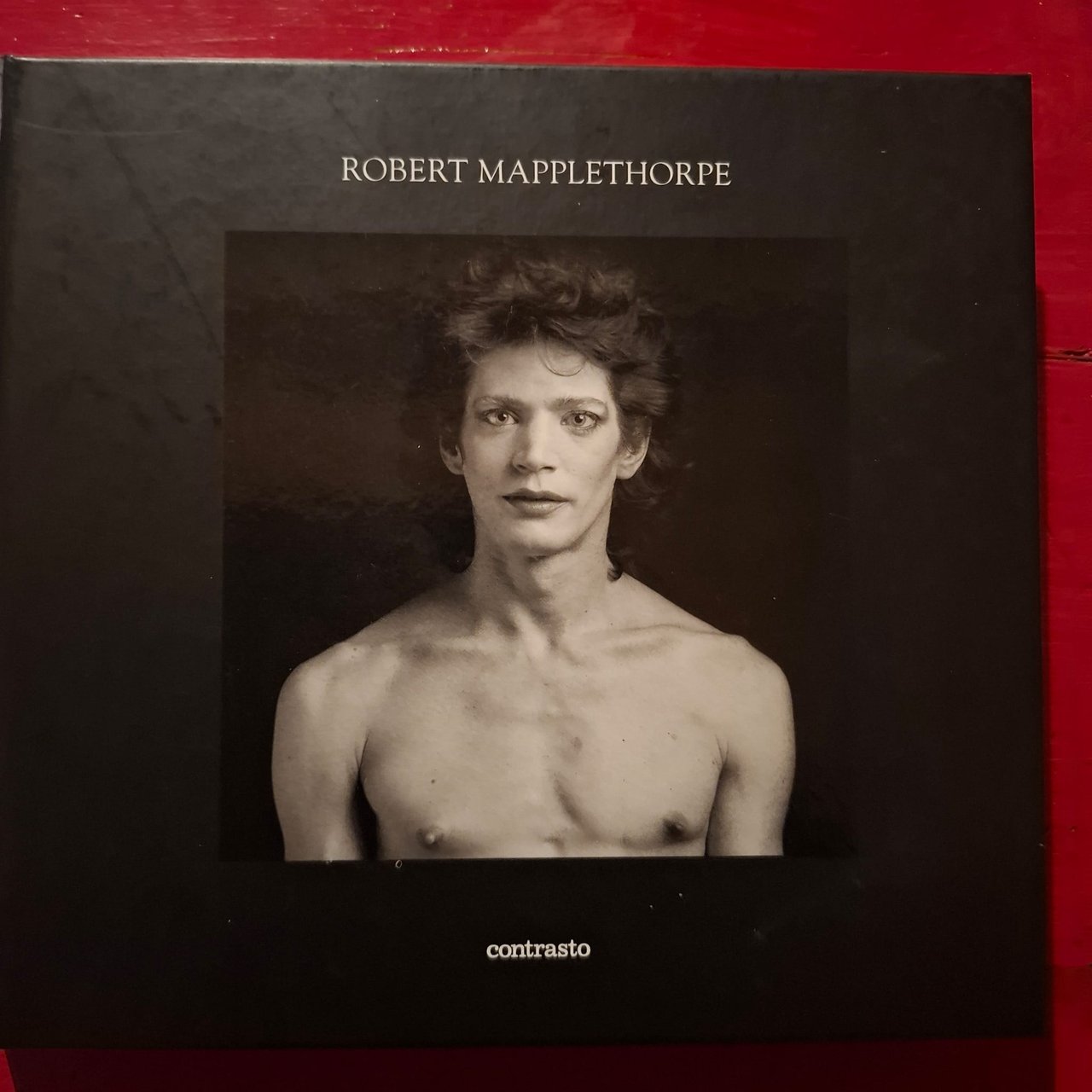 Robert Mapplethorpe | Immagine principale