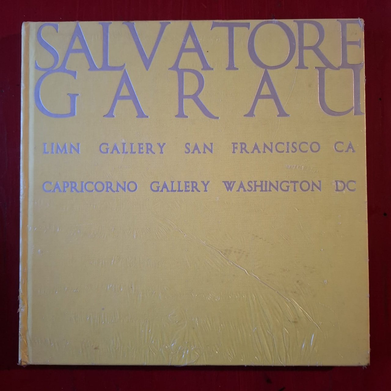 Salvatore Garau | Immagine principale