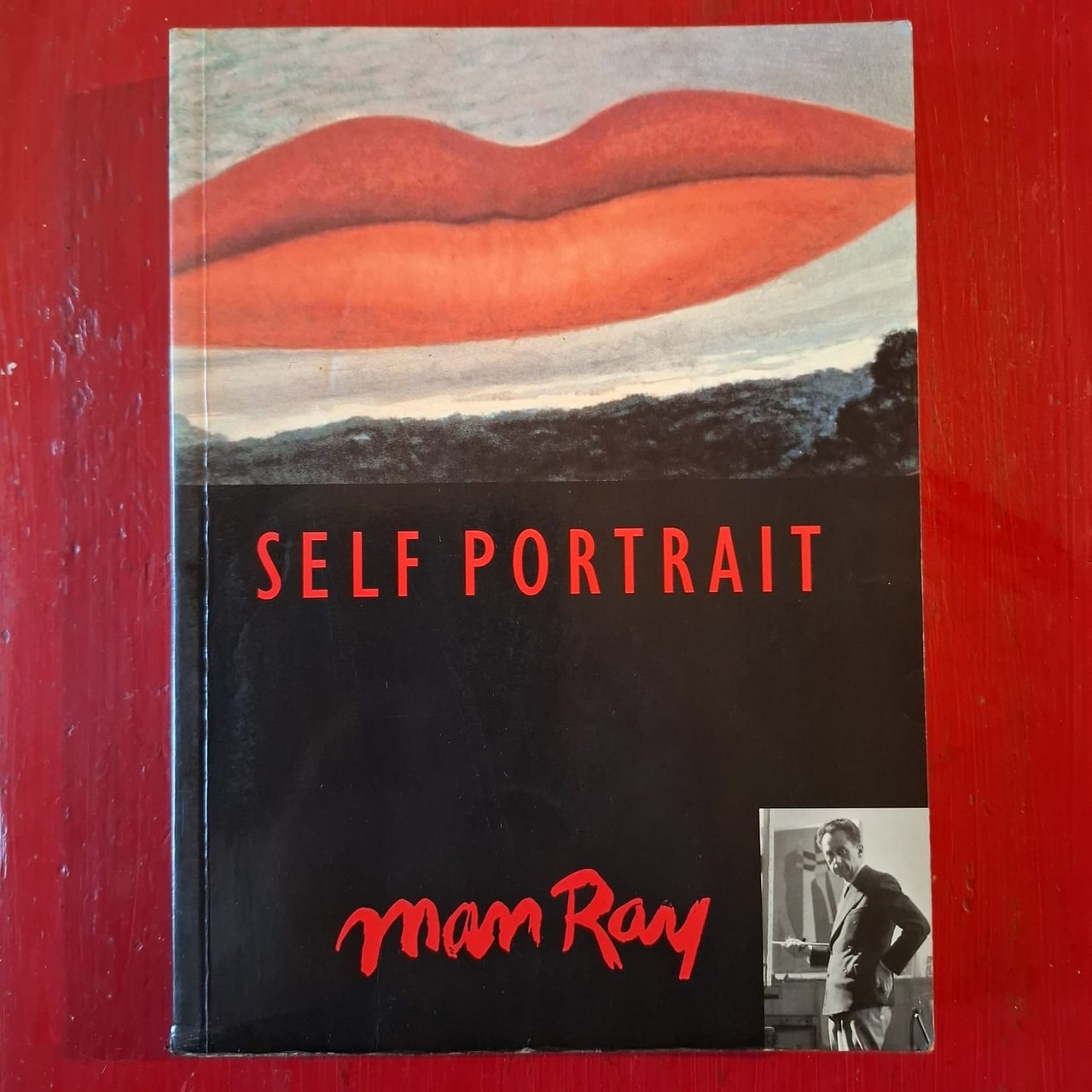 Self Portrait | Immagine principale