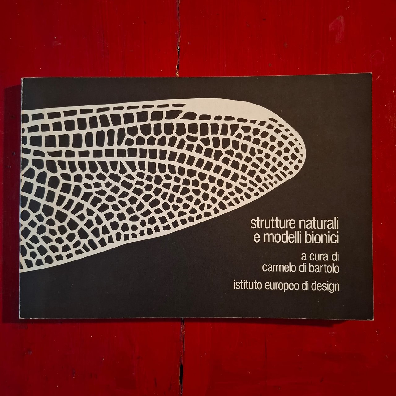 Strutture naturali e modelli bionici | Immagine principale