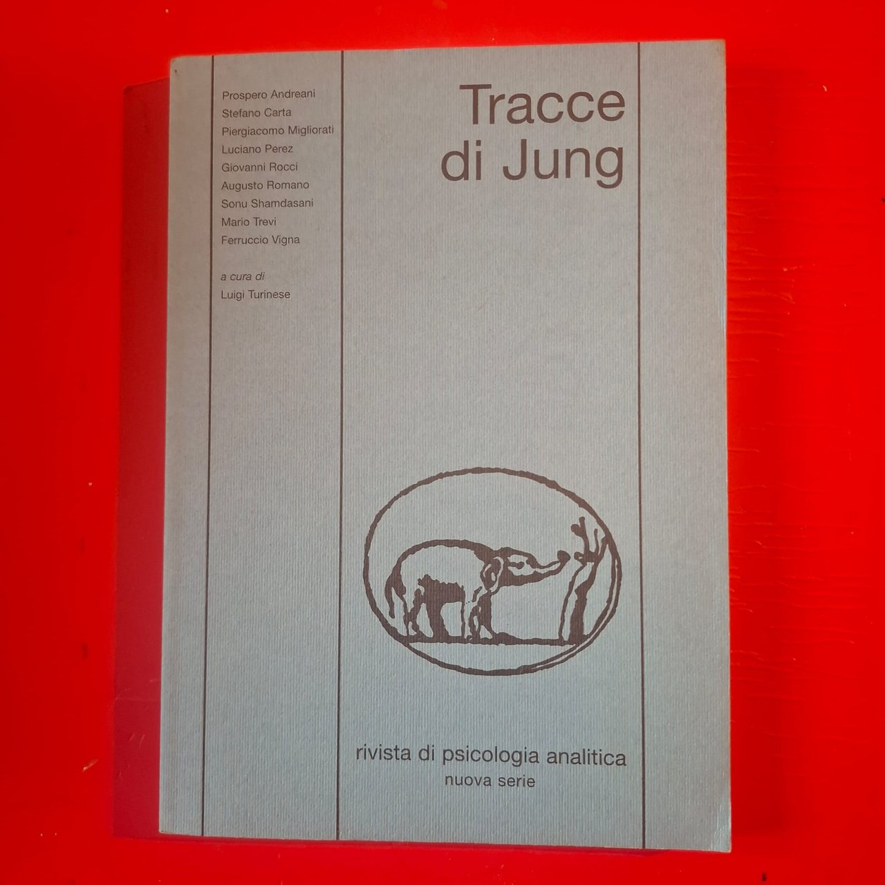Tracce di Jung | Immagine principale