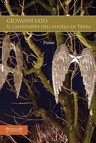 Canzoniere dell'angelo di terra | Immagine principale