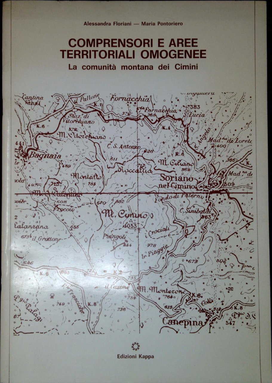 Comprensori e aree territoriali omogenee : la Comunità montana dei …