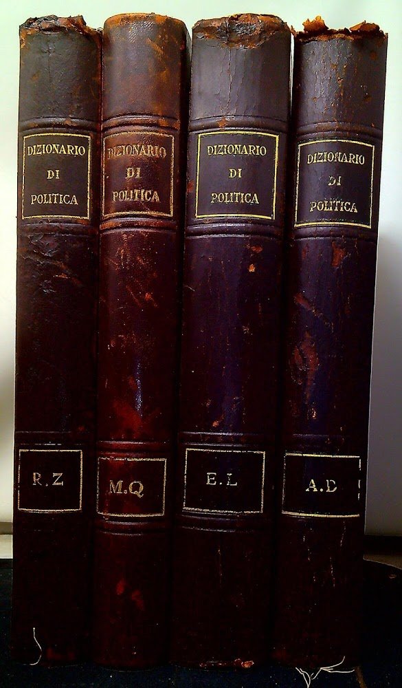 Dizionario di politica