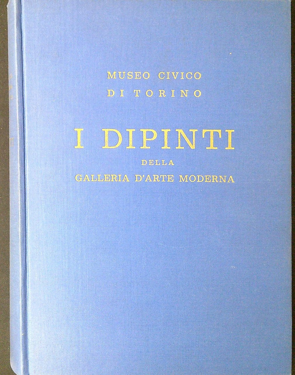 I dipinti della Galleria d'arte moderna : catalogo