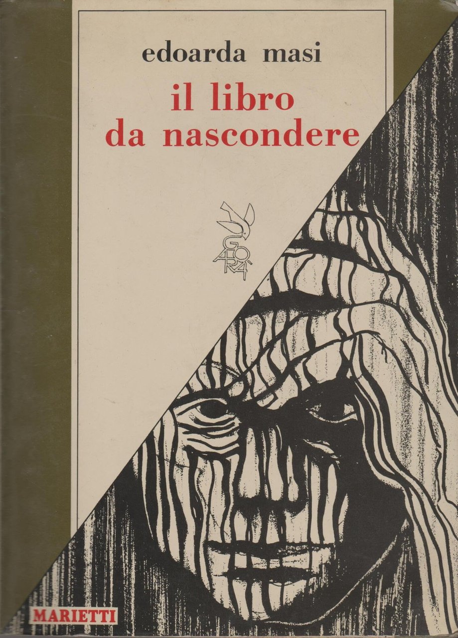 Il libro da nascondere | Immagine principale