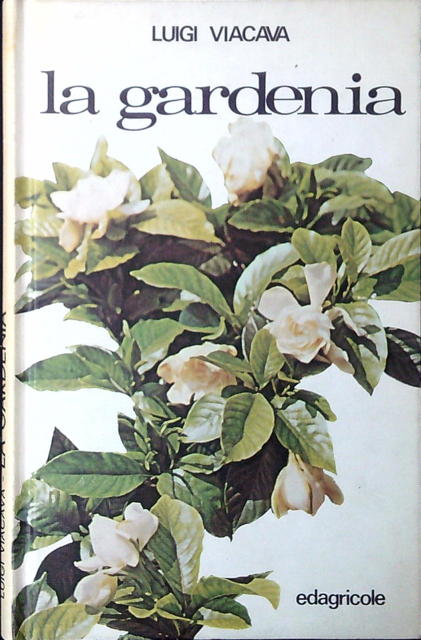La gardenia