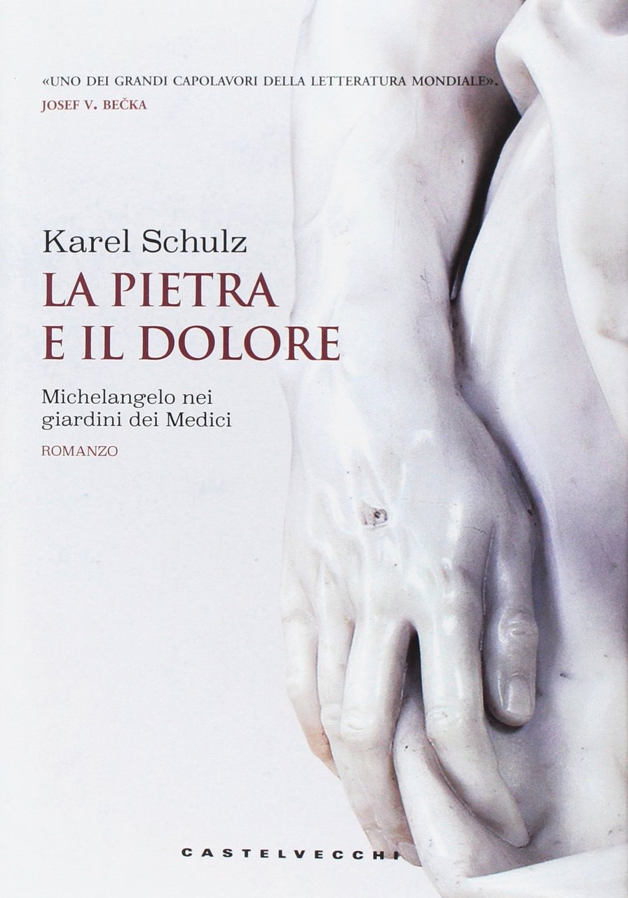 La pietra e il dolore. Michelangelo nei giardini dei Medici