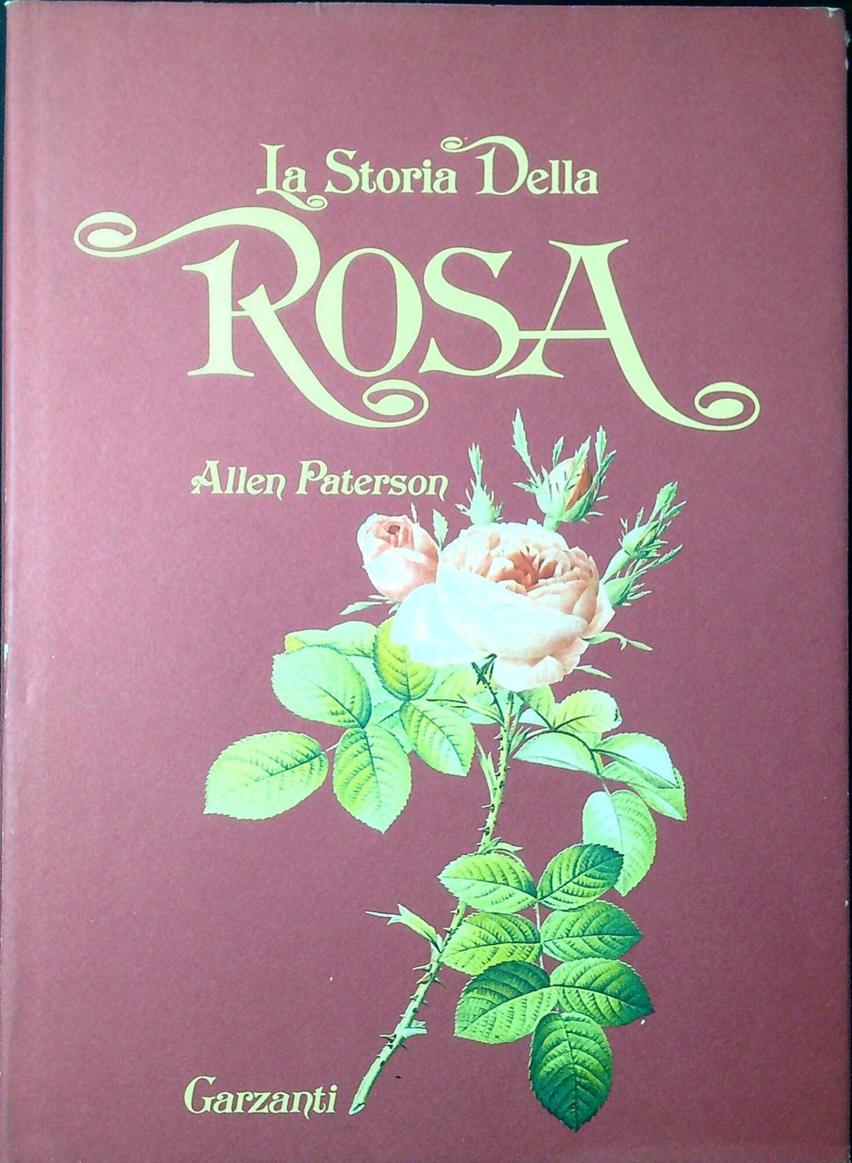 La storia della rosa