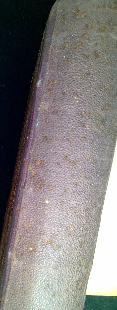 Le poesie friulane di Pietro Zorutti | Immagine principale