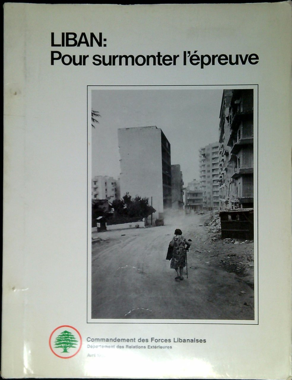 Liban: pour surmonter l'epreuve | Immagine principale