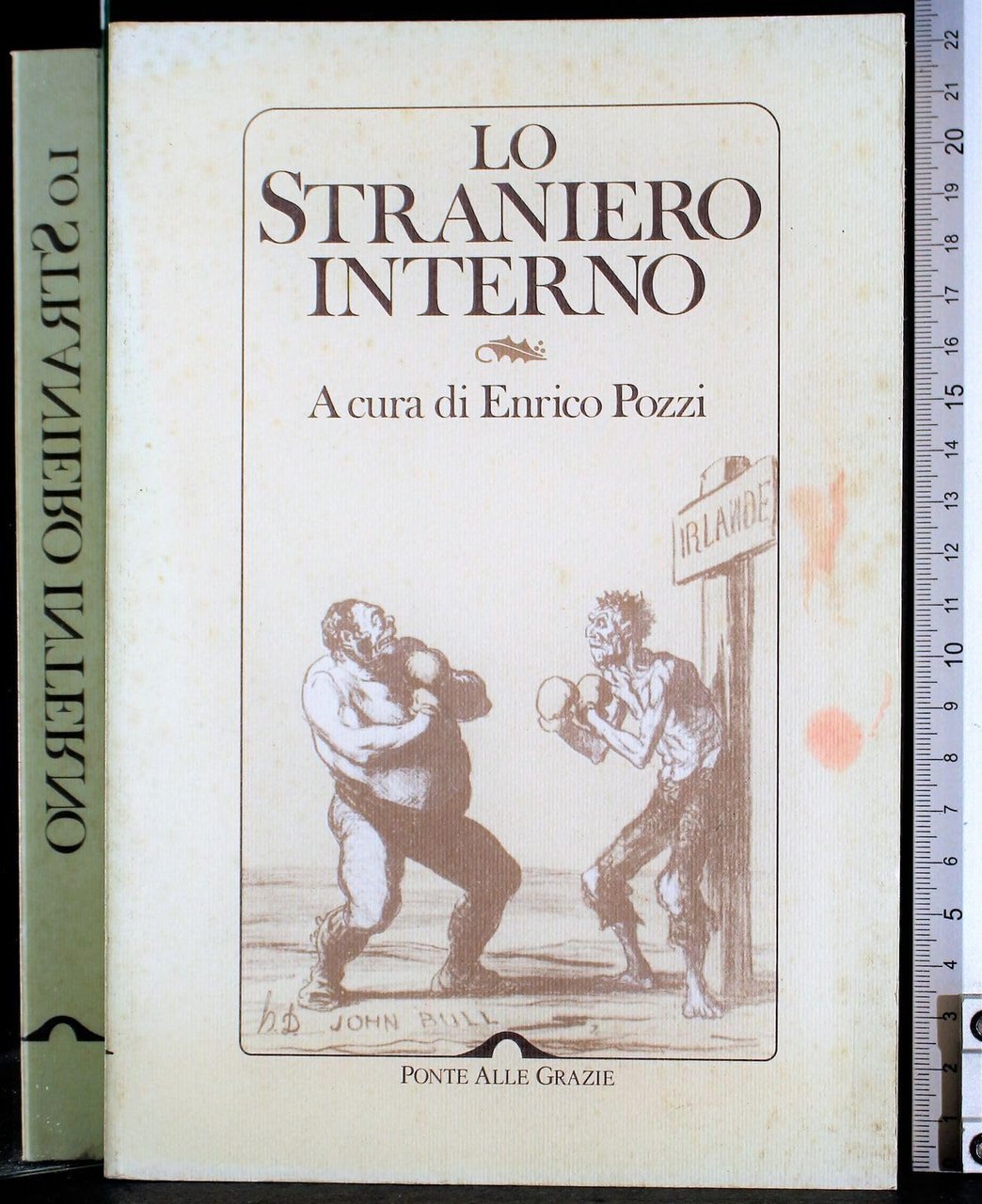 Lo straniero interno | Immagine principale