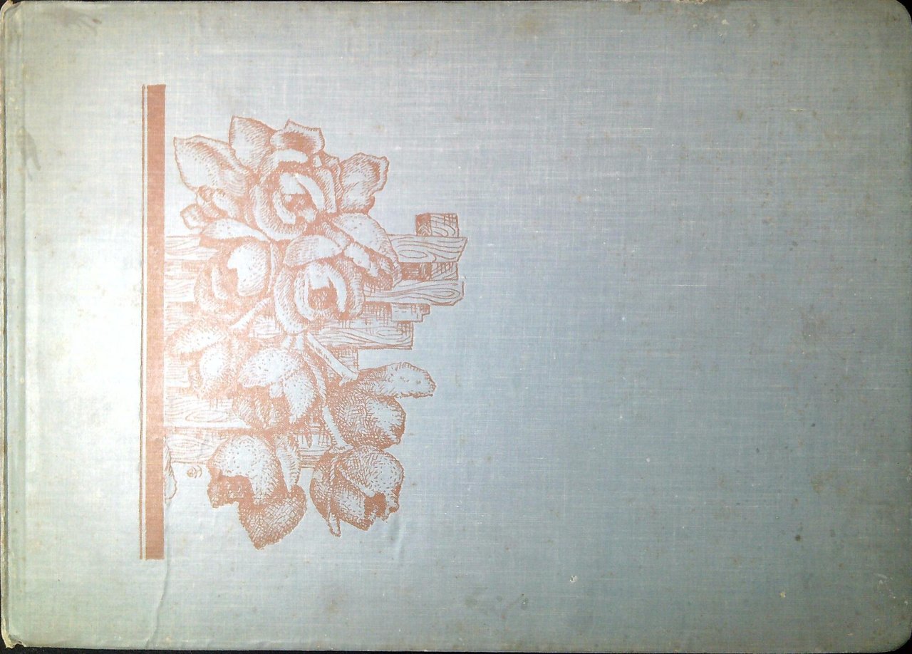 Orquideas Colombianas / Colombian Orchids | Immagine principale