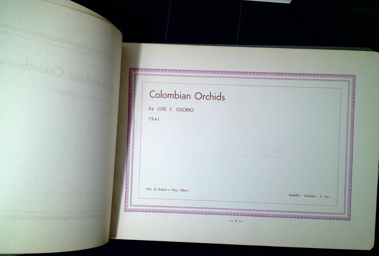 Orquideas Colombianas / Colombian Orchids | Immagine Gallery 2