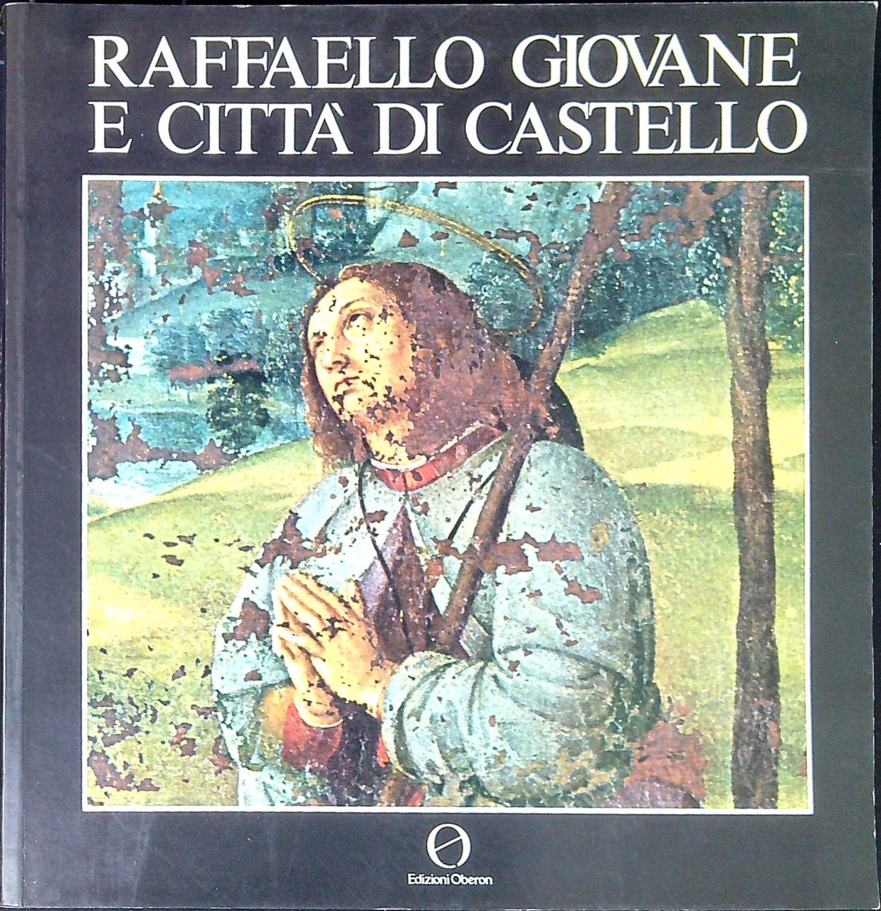 Raffaello giovane e Città di Castello : catalogo della mostra
