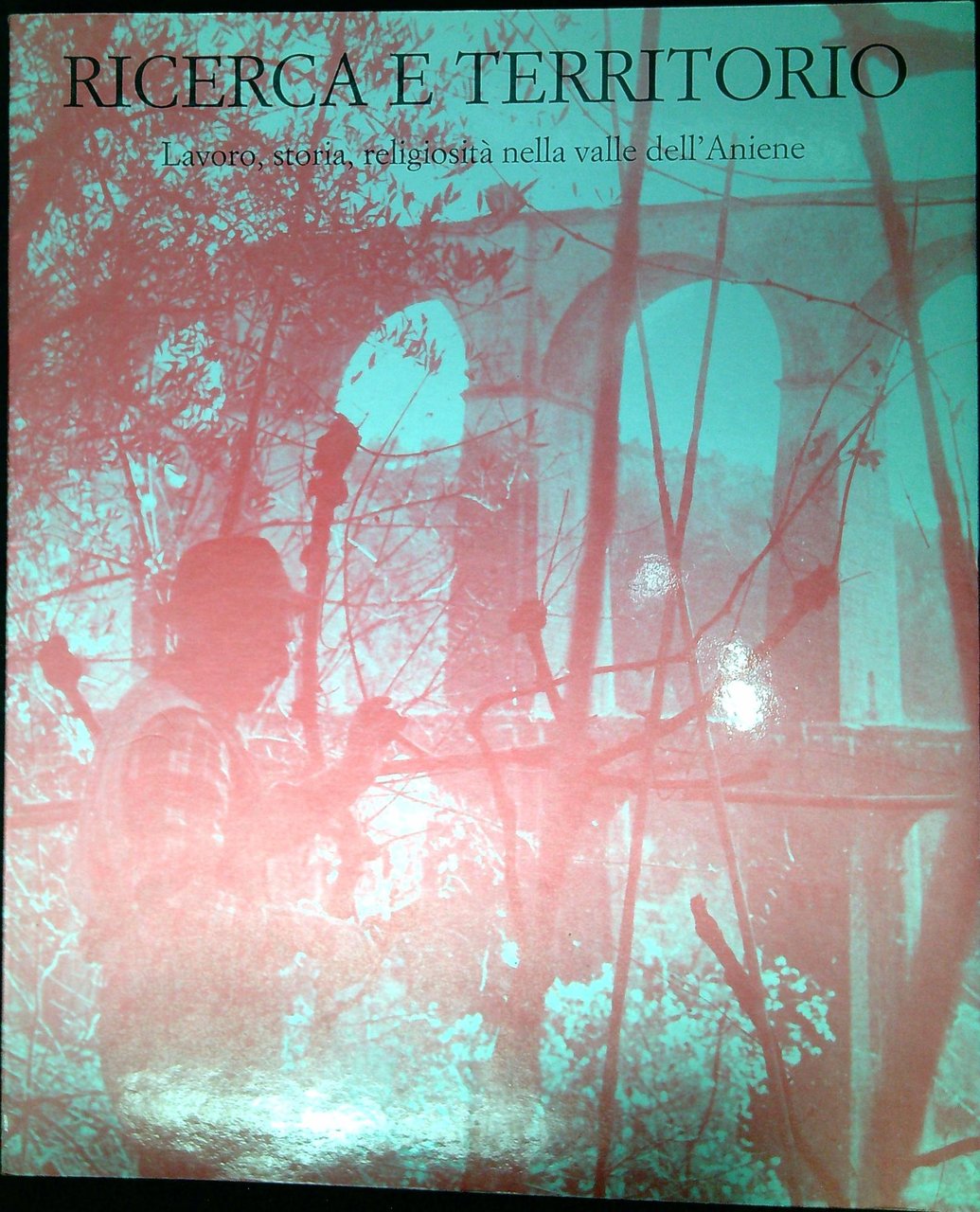 Ricerca e terrritorio : lavoro, storia, religiosità nella valle dell'Aniene | Immagine principale