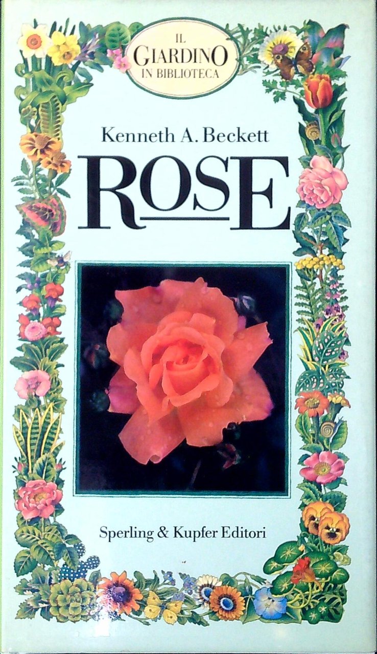 Rose