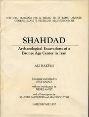 Shahdad. Archaeological excavations of a bronze age center in Iran | Immagine principale