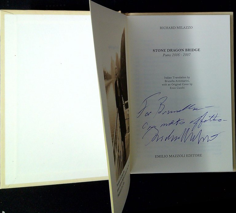 Stone dragon bridge : poems 2006-2007