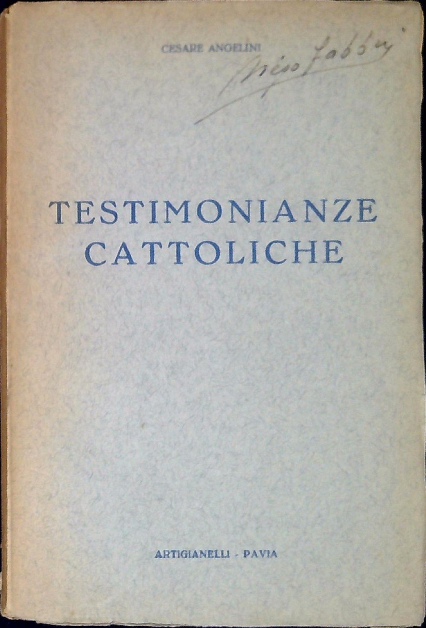 Testimonianze cattoliche