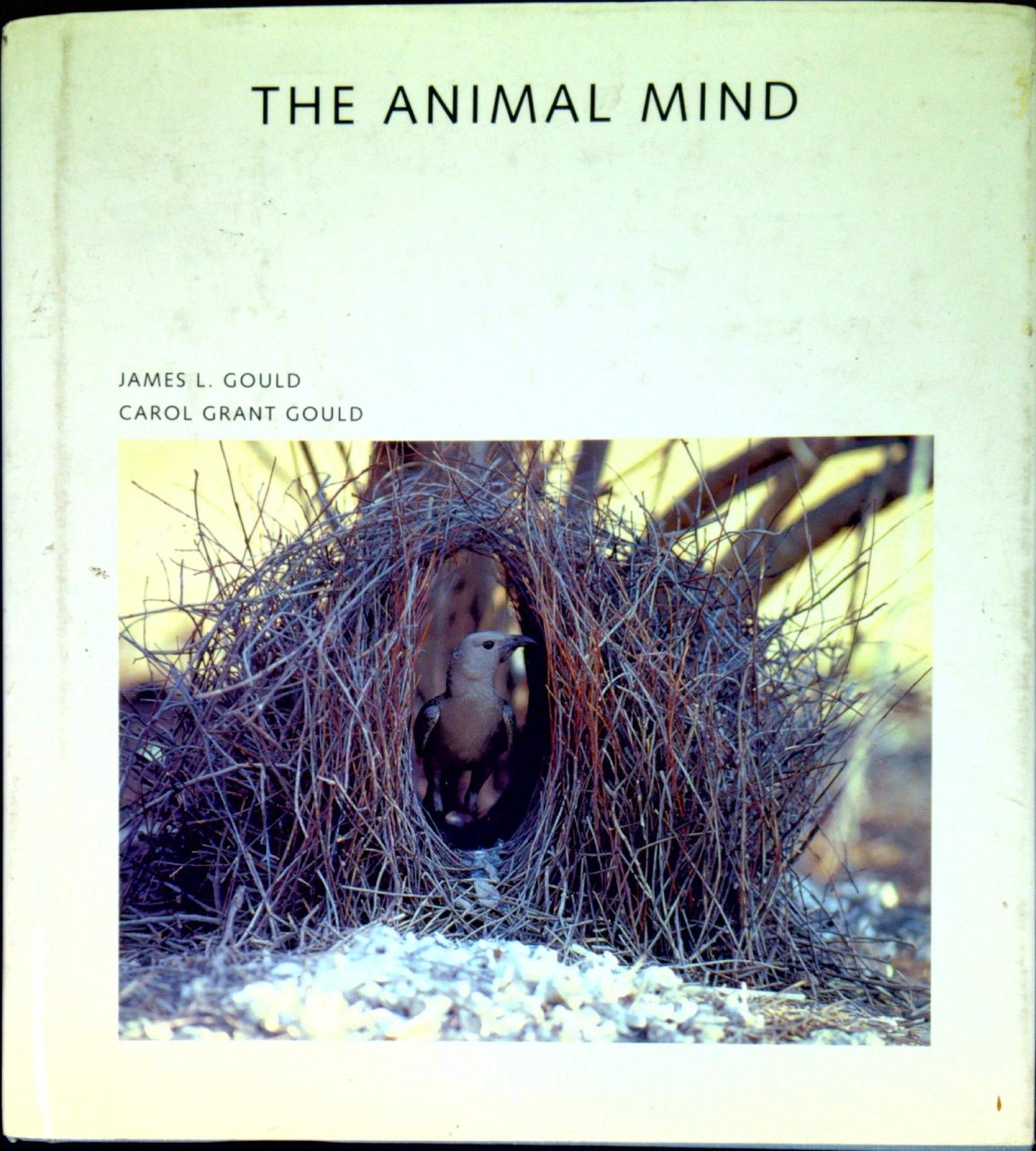 The animal mind