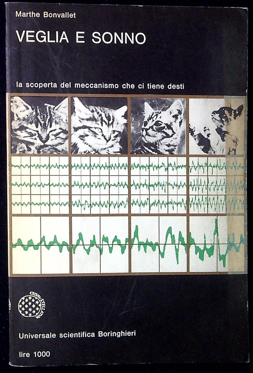 Veglia e sonno la scoperta del meccanismo che ci tiene … | Immagine principale