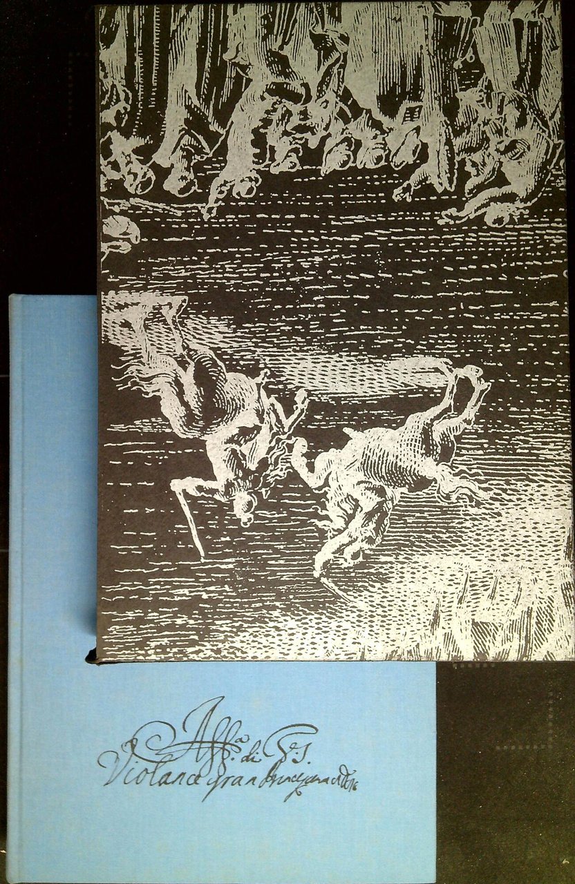 Veridico Ragguaglio della Solenne Entrata fatta dalla Reale Altezza della … | Immagine principale