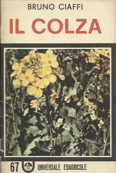 Colza (Il)