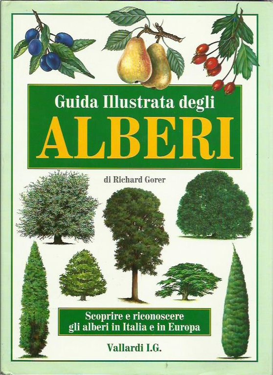 Guida illustrata degli alberi