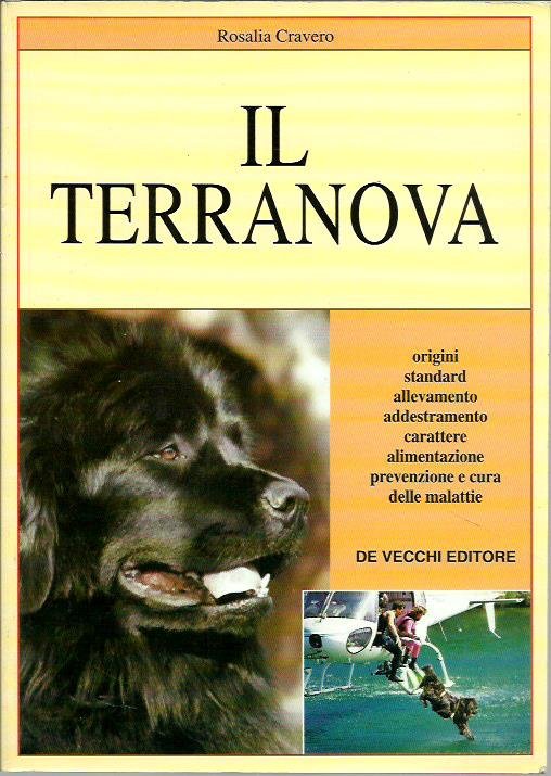 Il Terranova