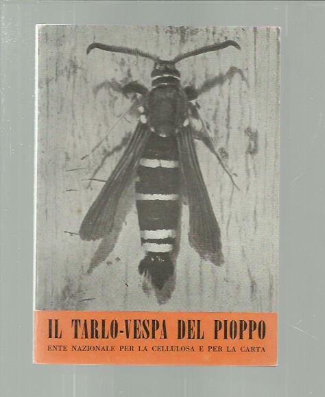 Il tarlo-vespa del pioppo (I nemici del pioppo 3)