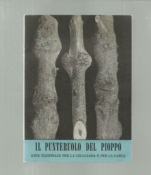 Il punteruolo del pioppo (I nemici del pioppo 6)