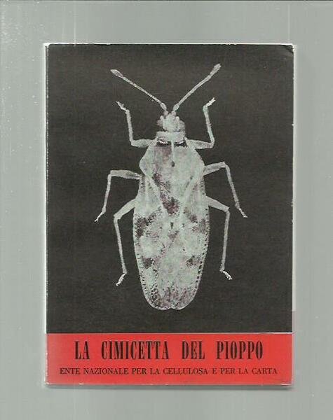 La cimicetta del pioppo (I nemici del pioppo 5)