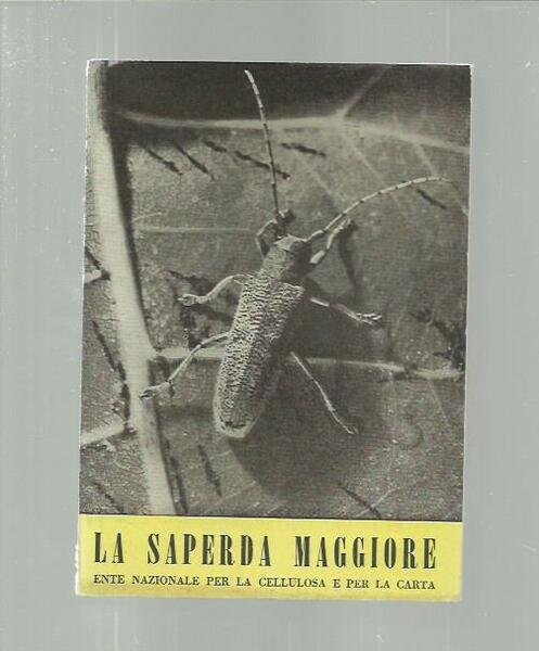La saperda maggiore (I nemici del pioppo 1)