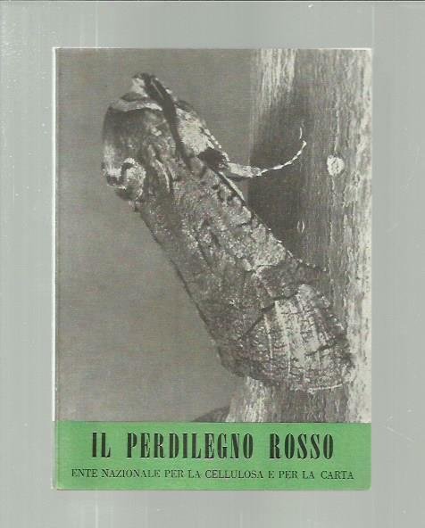 Il perdilegno rosso (I nemici del pioppo 4)
