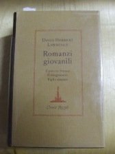 Romanzi giovanili