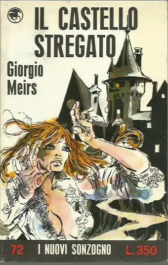 Il castello stregato | Immagine principale