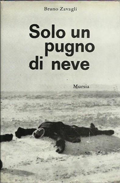 Solo un pugno di neve