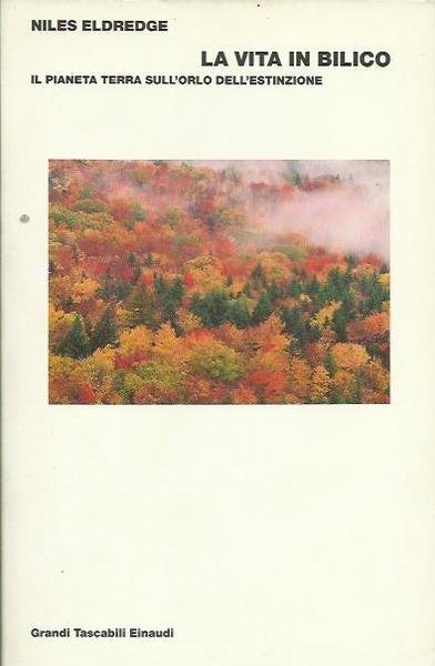 Vita in Bilico il pianeta terra sull'orlo dell'estinzione (la)