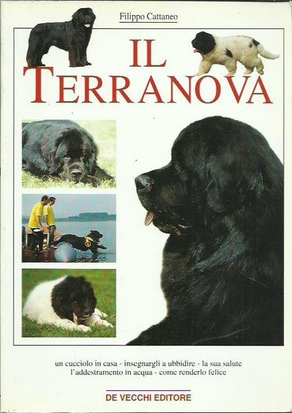 Il Terranova