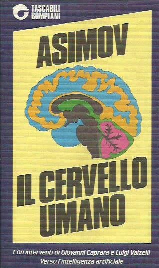 Il cervello umano