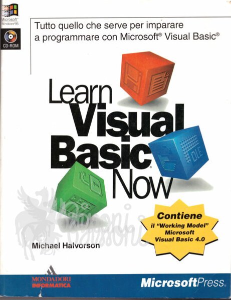 LEARN VISUAL BASIC NOW