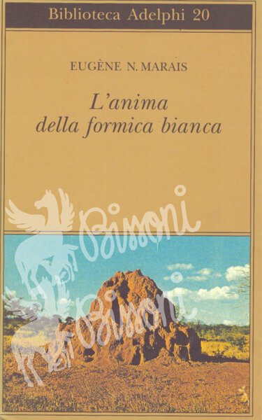 L'ANIMA DELLA FORMICA BIANCA