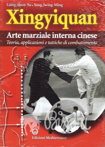 XINGYIQUAN - ARTE MARZIALE INTERNA CINESE