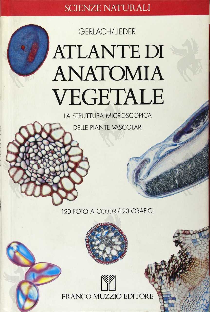 ATLANTE DI ANATOMIA VEGETALE | Immagine principale